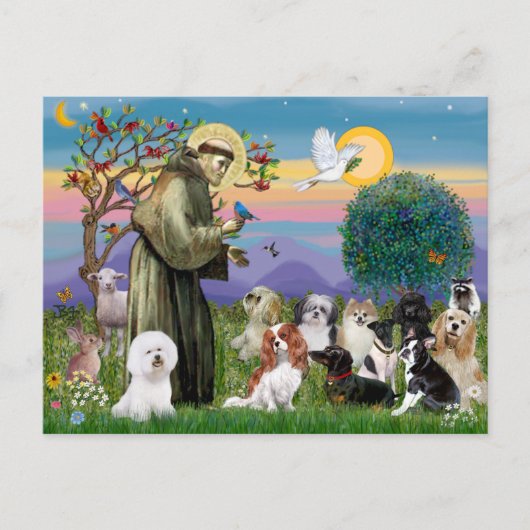 Sint Franciscus met 10 honden Briefkaart (Voorkant)