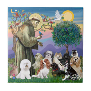 Sint Franciscus met 10 honden Tegeltje
