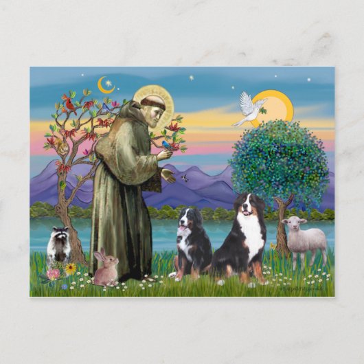 Sint Franciscus - Twee Berner Sennenhonden Briefkaart (Voorkant)