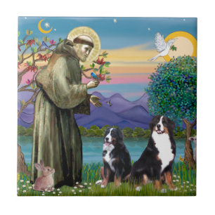 Sint Franciscus - Twee Berner Sennenhonden Tegeltje