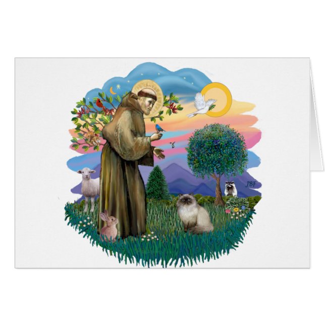 Sint Franciscus (vf) - Seal Point Himalayan kat (Voorkant Horizontaal)