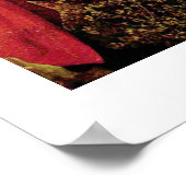 Sint-Giles en de zwoerd van de kapitein van de Sin Poster (Hoek)