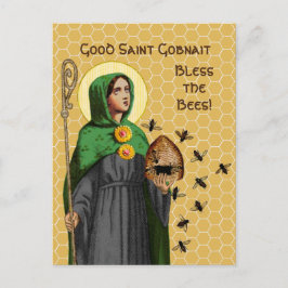 Sint-Gobnait Briefkaart Ballyvourney (SAE 003)