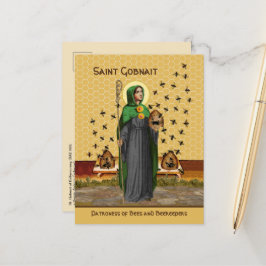 Sint-Gobnait Briefkaart Ballyvourney (SAE 003)