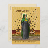Sint-Gobnait Briefkaart Ballyvourney (SAE 003) (Voorkant / Achterkant)