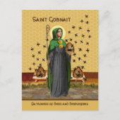 Sint-Gobnait Briefkaart Ballyvourney (SAE 003) (Voorkant)