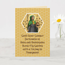 Sint-Gobnait van Ballyvourney (SAE 003) Kaart