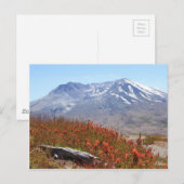 Sint-Helens Wildbloemen Briefkaart (Voorkant / Achterkant)
