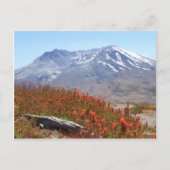 Sint-Helens Wildbloemen Briefkaart (Voorkant)