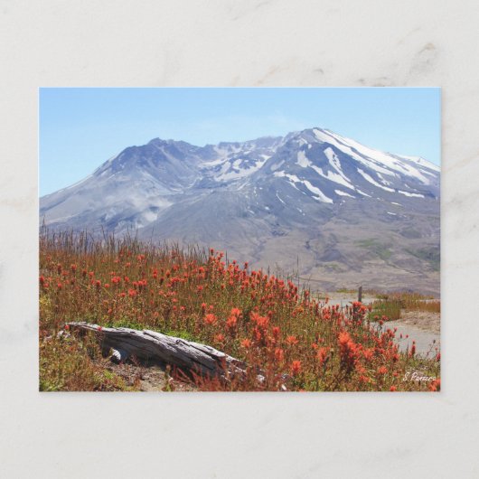 Sint-Helens Wildbloemen Briefkaart (Voorkant)