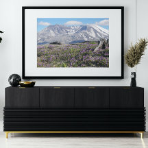 Sint-Helens Wildbloemen