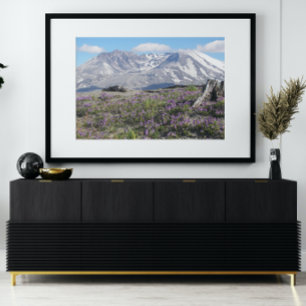 Sint-Helens Wildbloemen Foto Afdruk