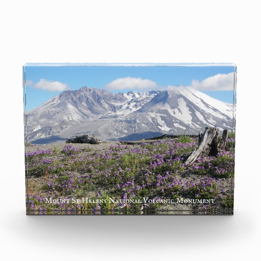 Sint-Helens Wildbloemen fotoblok (Voorkant)