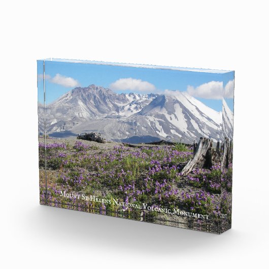 Sint-Helens Wildbloemen fotoblok (Rechts)