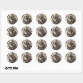 Sint-Jacobus de Meerdere de apostel Ronde Sticker (Vel)
