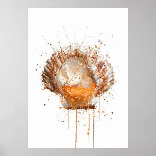 Sint-jakobsschelp Poster (Voorkant)