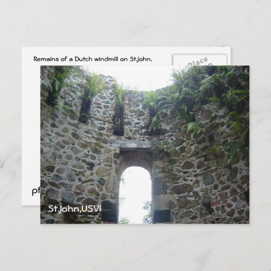 Sint-janskruid Briefkaart (Voorkant / Achterkant)