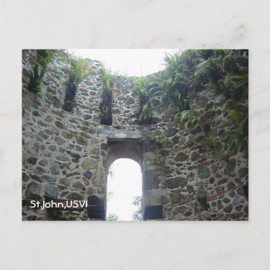 Sint-janskruid Briefkaart (Voorkant)