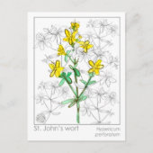 Sint-janskruid kruid Materia Medica Kaarten kruide (Voorkant)