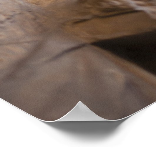 Sint-janskruid Poster (Hoek)