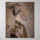 Sint-janskruid Poster (Voorkant)