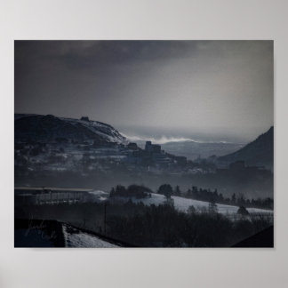 Sint-janskruid - Poster 8 x 10