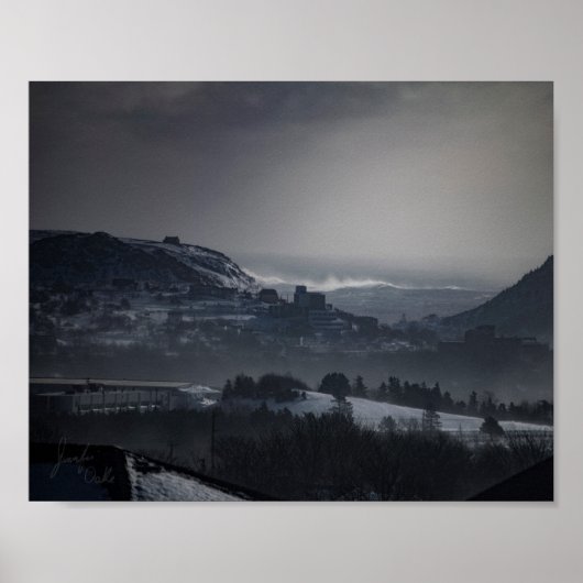 Sint-janskruid - Poster 8 x 10 (Voorkant)