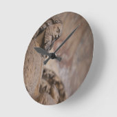 Sint-janskruid Ronde Klok (Hoek)