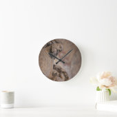 Sint-janskruid Ronde Klok (Huis)