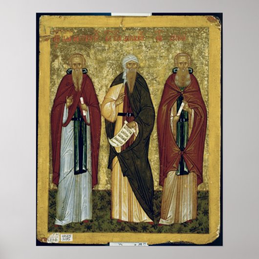 Sint-Janskruid, Sint-Janskruid van Damascus Poster (Voorkant)