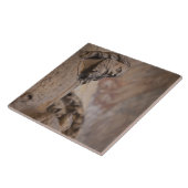 Sint-janskruid Tegeltje (Zijkant)