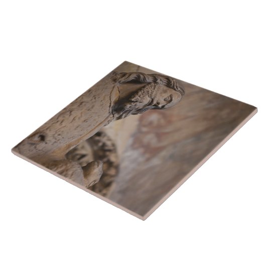 Sint-janskruid Tegeltje (Zijkant)