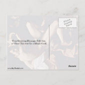 sint-janskruid van Michelangelo da caravaggio Briefkaart (Achterkant)