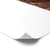 sint-janskruid van Tura cosimo Poster (Hoek)