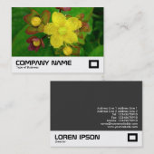 Sint-janskruid Visitekaartje (Voorkant / Achterkant)