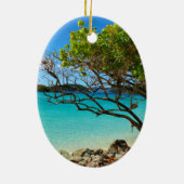 Sint-John Cinnamon Bay Oval-Ornament Keramisch Ornament (Achterkant)