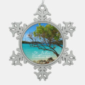 Sint-John Cinnamon Bay Pewter Snowflake Ornament (Voorkant)
