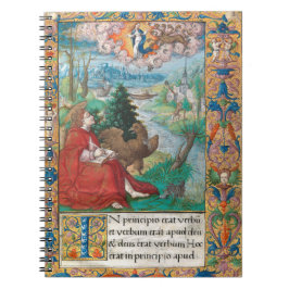 Sint-John de Evangelist - Medieval Manuscript Notitieboek