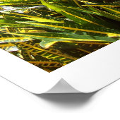 Sint-John-kerk Poster (Hoek)