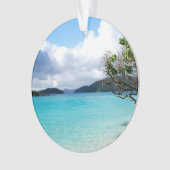 Sint-John US Maagdeneilanden Ornament (voorkant)