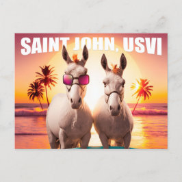 Sint-John USVI Donkeys op strand. Briefkaart