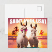 Sint-John USVI Donkeys op strand. Briefkaart (Voorkant / Achterkant)