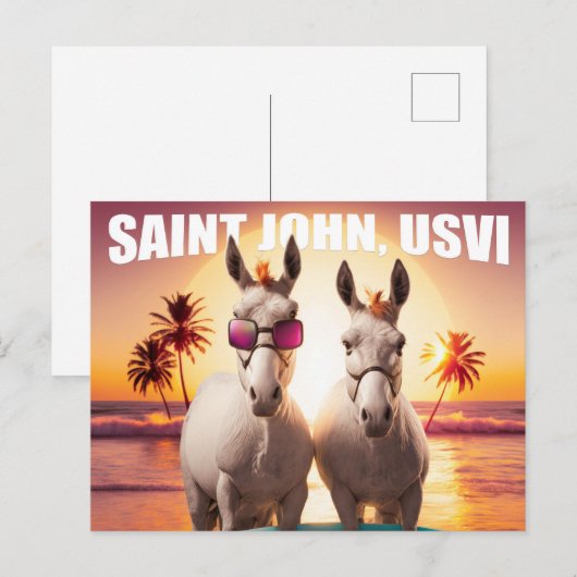 Sint-John USVI Donkeys op strand. Briefkaart (Voorkant / Achterkant)