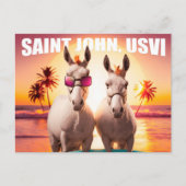 Sint-John USVI Donkeys op strand. Briefkaart (Voorkant)