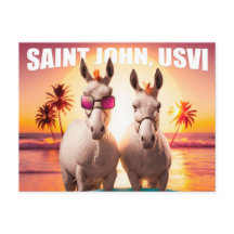 Sint-John USVI Donkeys op strand.