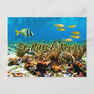 Sint-Kitts en Nevis-koraalrif Briefkaart