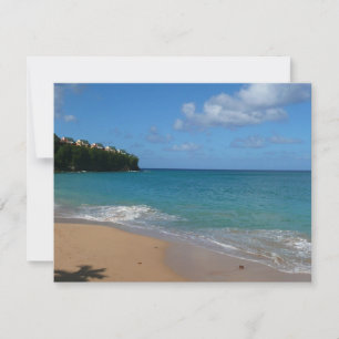 Sint Lucia Beach Tropisch Vacation Landscape