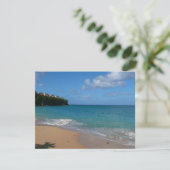 Sint Lucia Beach Tropisch Vacation Landscape (Staand voorkant)