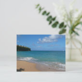 Sint Lucia Beach Tropisch Vacation Landscape Briefkaart (Staand voorkant)