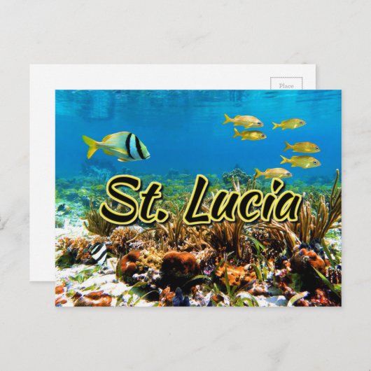 Sint-Lucia koraalrif Briefkaart (Voorkant / Achterkant)